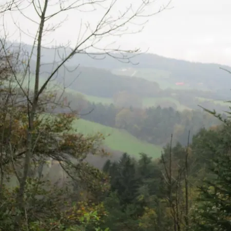 Waldpension Stachl 3* Bromberg