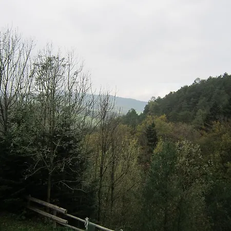 Waldpension Stachl Bromberg