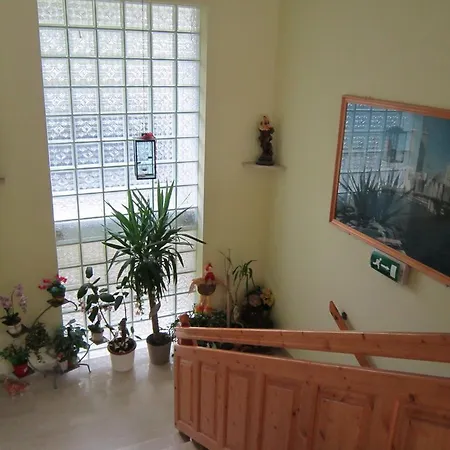 בית הארחה Waldpension Stachl 3*