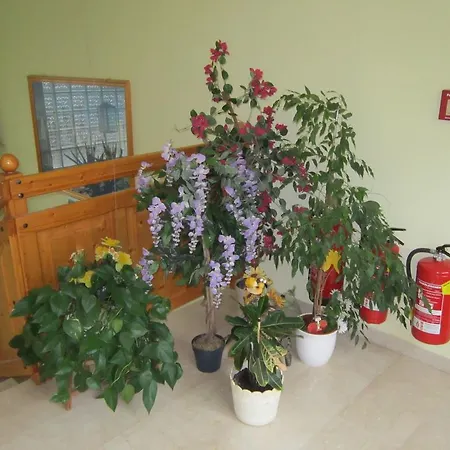 Maison d'hôtes Waldpension Stachl *