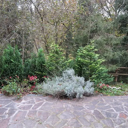 Waldpension Stachl Maison d'hôtes *