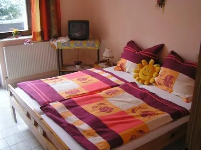 Waldpension Stachl Guest house