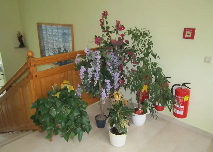 Guest house Waldpension Stachl 3*