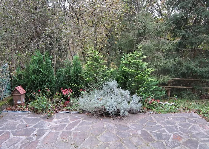 Waldpension Stachl Guest house 3*